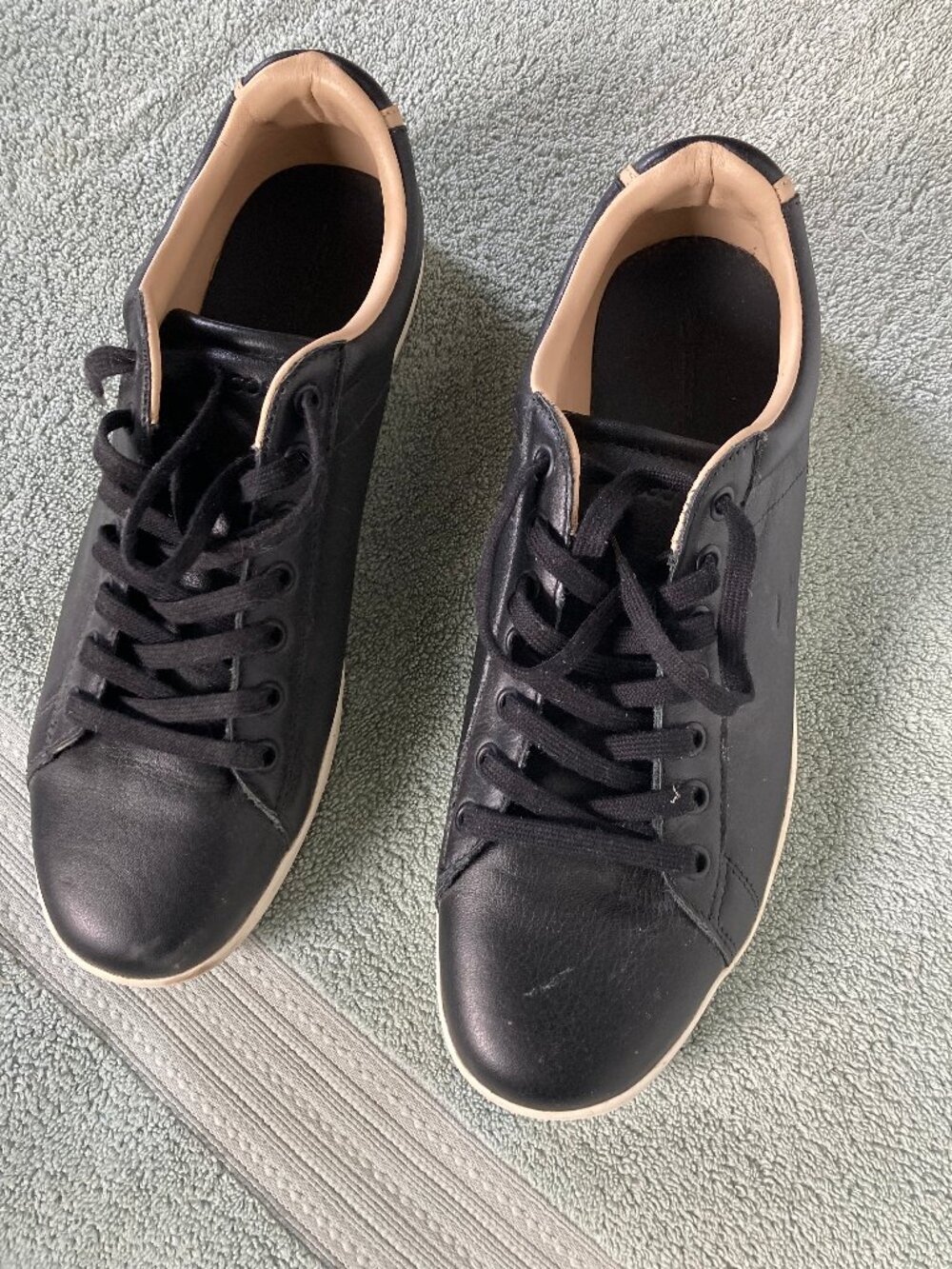 Lacoste sneakers size 12